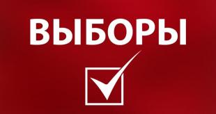 Костромские школьники примут участие в выборах президента