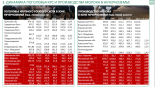 Владимир Кашин: «Развитие молочного животноводства - во имя здоровья нации»