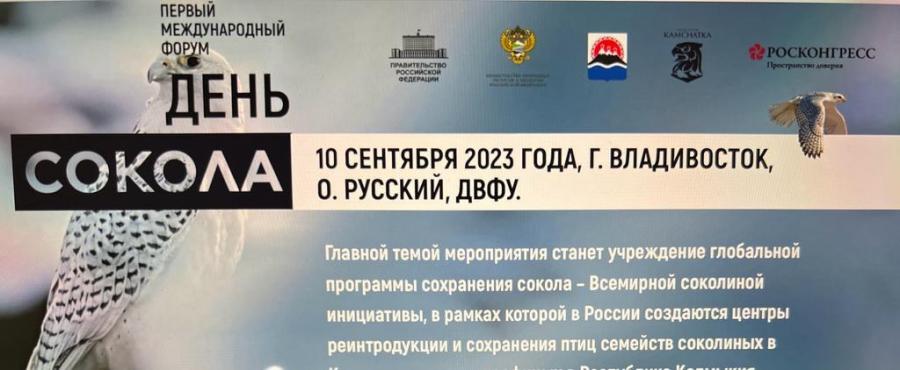 День сокола 2024. Новости орёл сегодня. Выборы 10 сентября 2023. Новости Саратова.