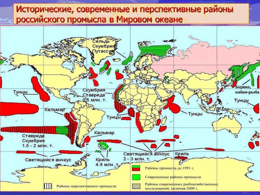 Карта мирового рыболовства