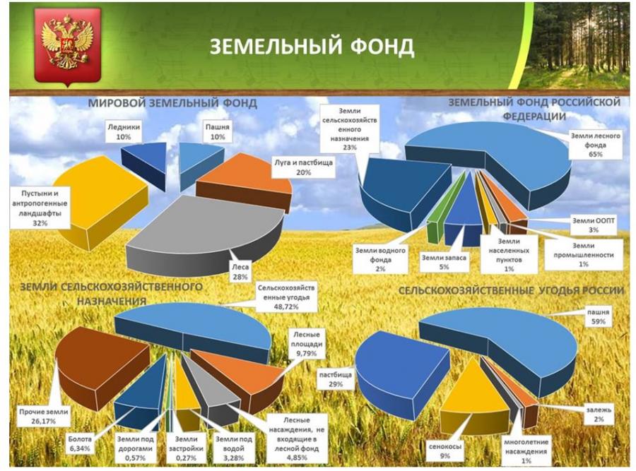 Схема использования земель