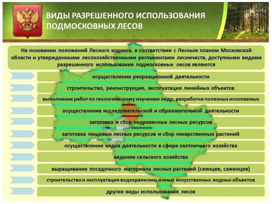 Разрешенное использование лесов