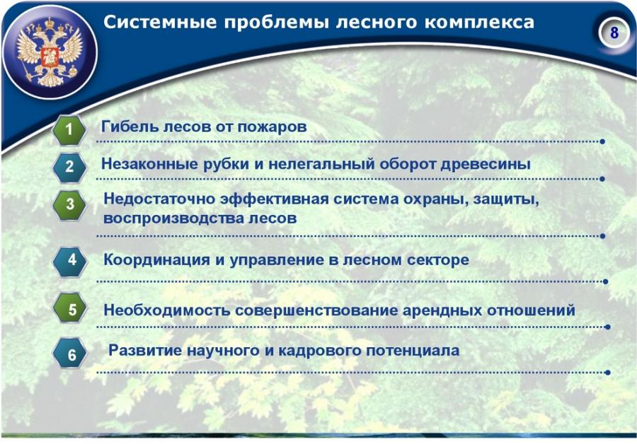 Проблемы лесного комплекса. Проблемы лесного комплекса России. Проблемы лесного законодательства России. 5 Проблем лесного комплекса.