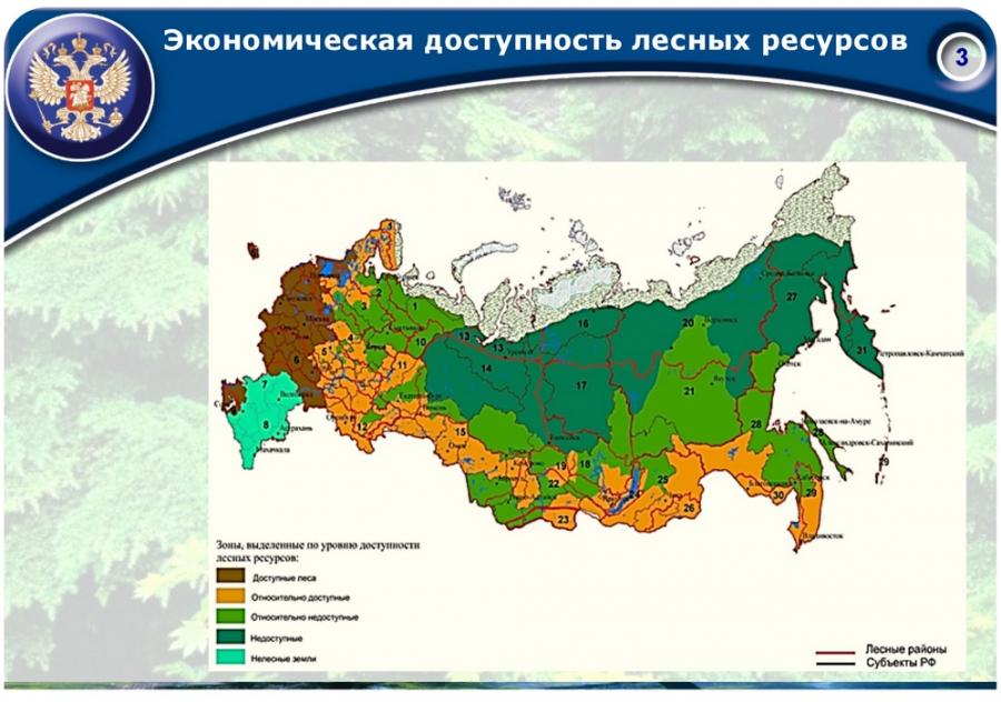 Перспективы развития лесного комплекса