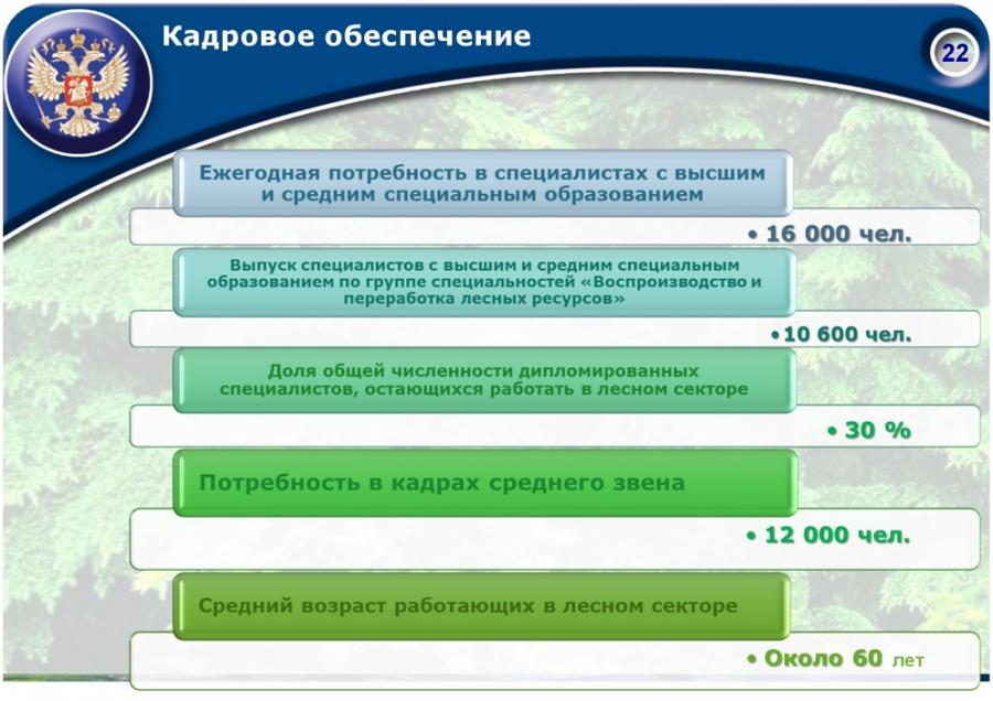 Приоритетные инвестиционные проекты в области освоения лесов