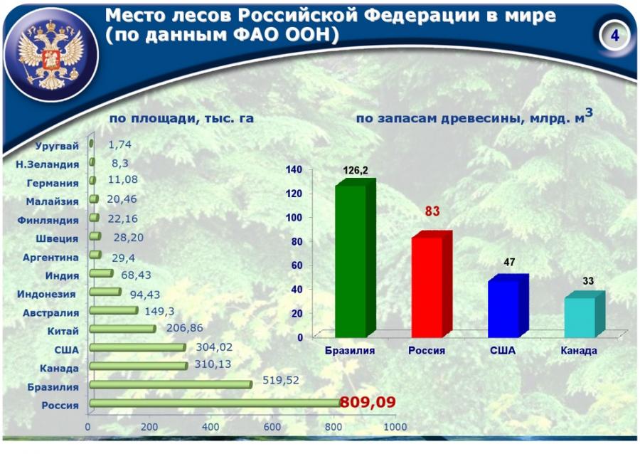 Лесной комплекс тесты. Сравнение лесного комплекса России и США.