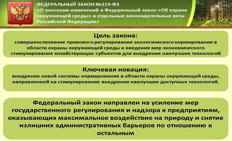 Руководящий документ по системе управления охраной окружающей среды образец