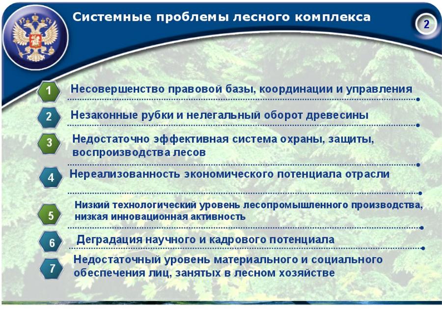 Проблемы перспективы промышленностей. Задачи лесного комплекса. Проблемы лесопромышленного комплекса России. Проблемы и перспективы лесного комплекса. Проблемы и перспективы лесопромышленного комплекса.