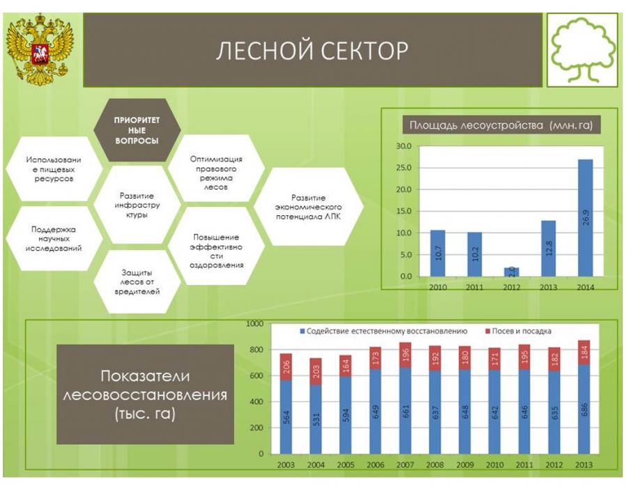 Анализ документов прогноз развития лесного сектора. Лесной сектор. Лесной сектор экономики России. Направления развития лесного сектора в РФ. Проблемы лесного сектора.