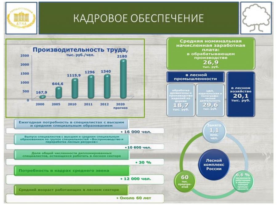 Проблемы развития лесного комплекса. Кадровое обеспечение лесного комплекса. Проблемы лесного хозяйства России. Задачи лесного комплекса в России. Заработная плата в Лесном хозяйстве.