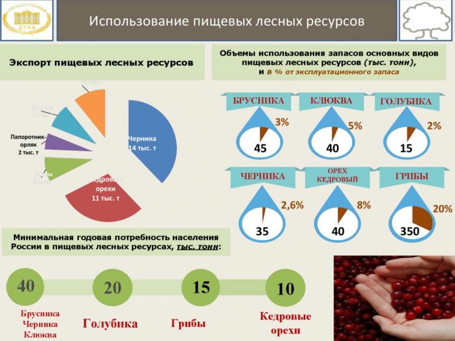 План освоения лесов для рекреационной деятельности