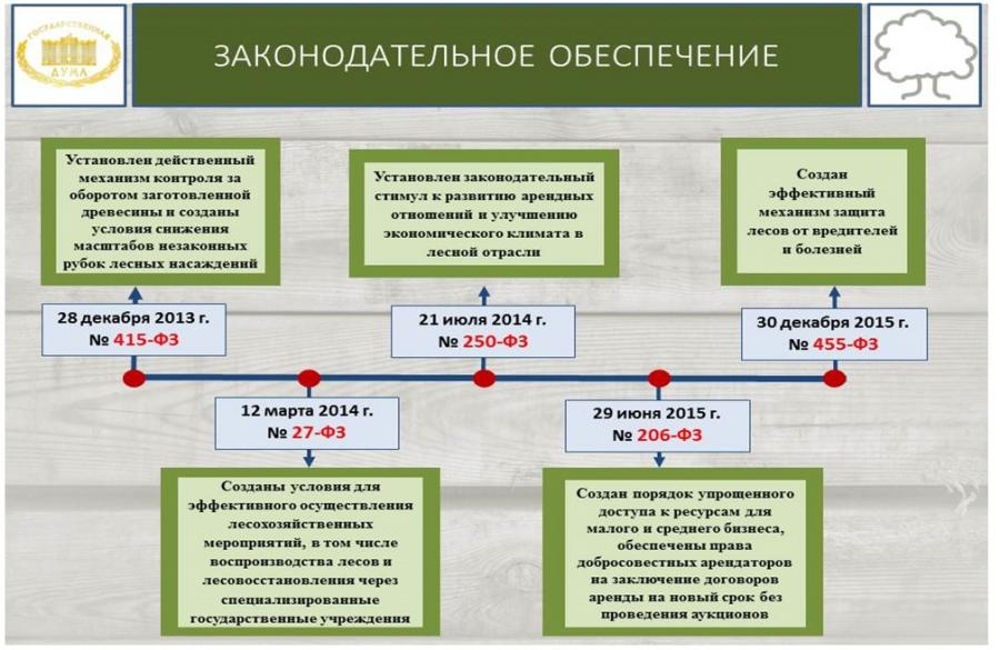 Порядок подачи проекта освоения лесов на государственную экспертизу