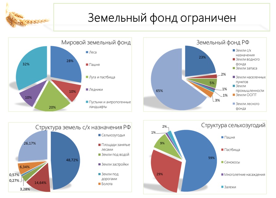 Реферат