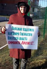 Пятнадцать одиночных пикетов прошли в Саранске и в районах Мордовии